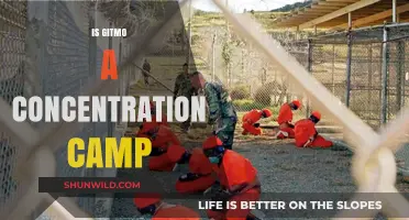Is Guantanamo Bay a Modern-Day Concentration Camp? A Critical Analysis