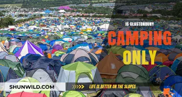 Glastonbury Festival: Camping Essentials or Optional Experience?
