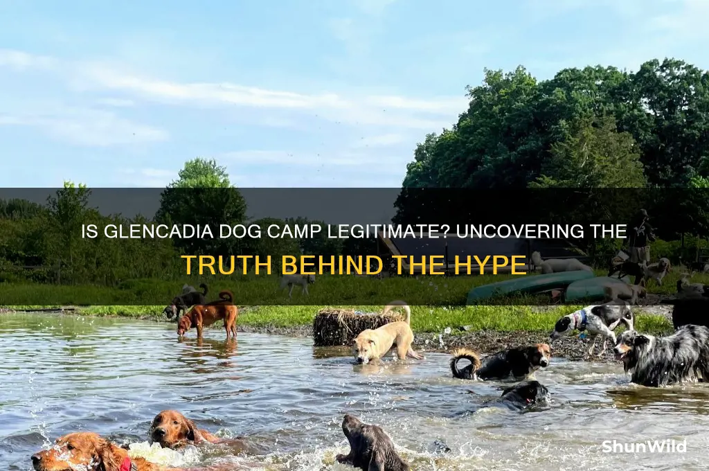 is glencadia dog camp fake