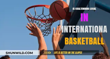 Goaltending: International Basketball's Legal Grey Area