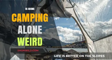 Solo Camping: Embracing Solitude or Just Plain Weird?