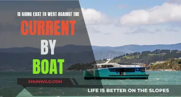 East to West: Swimming Against the Current?