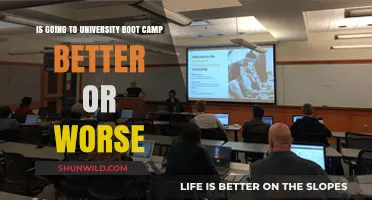 University Boot Camp: A Better Alternative or a Worse Experience?