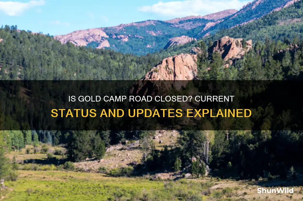 is gold camp road closed
