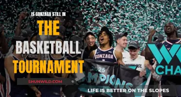 Gonzaga's Basketball Tournament Journey: Is the Dream Still Alive?