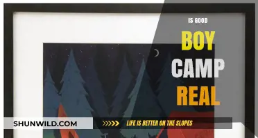 Is Good Boy Camp Real? Unveiling the Truth Behind the Trend