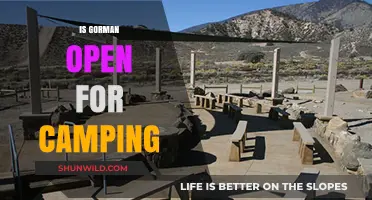Is Gorman Open for Camping? Your Ultimate Guide to Availability