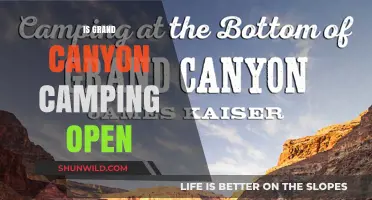 Is Grand Canyon Camping Open? Current Status and Essential Updates