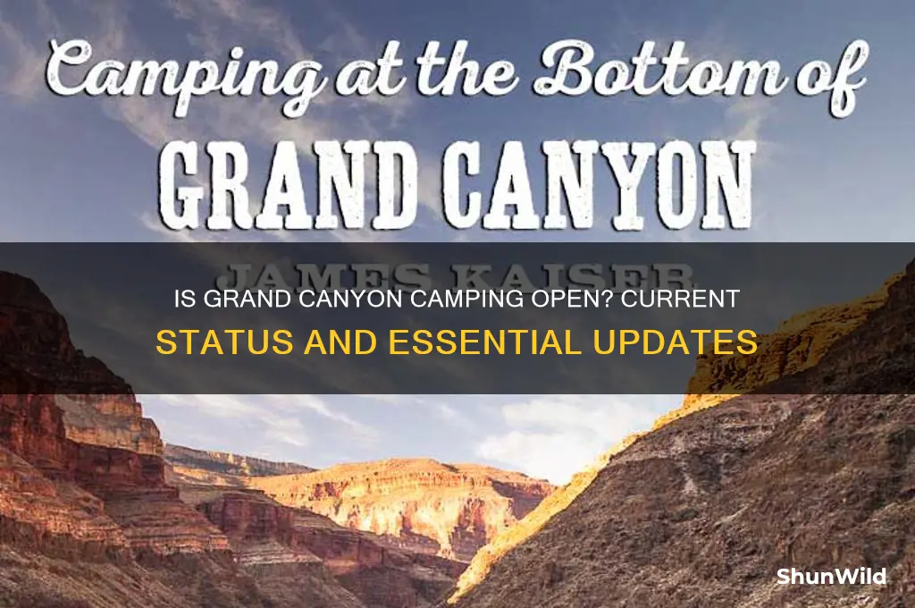 is grand canyon camping open