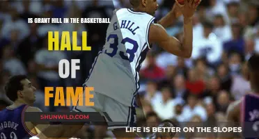 Grant Hill: Basketball Hall of Fame Inductee