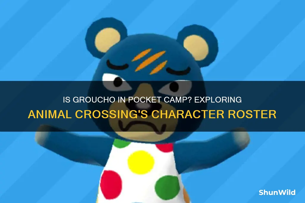 is groucho in pocket camp