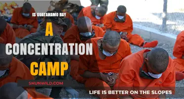 Guantanamo Bay: Concentration Camp or Military Detention Facility?