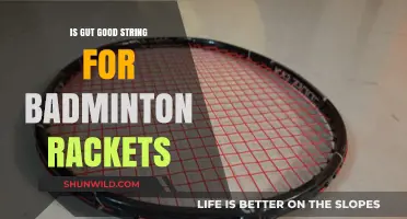 Gut String for Badminton Rackets: Good or Bad?