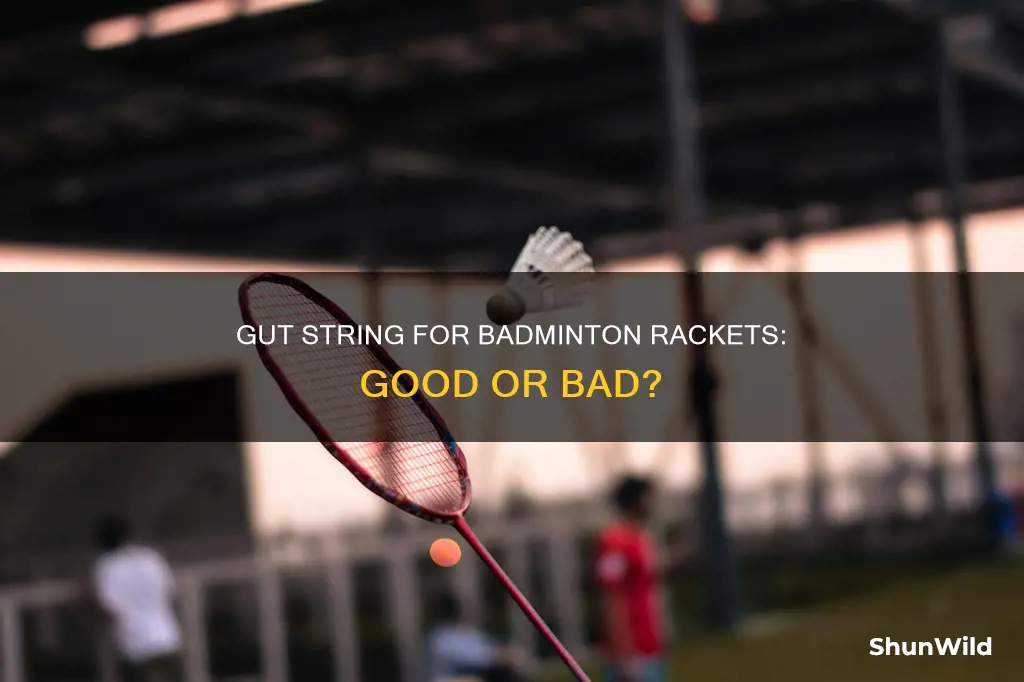 is gut good string for badminton rackets