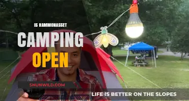 Is Hammonasset Camping Open? Your Guide to Current Status and Updates