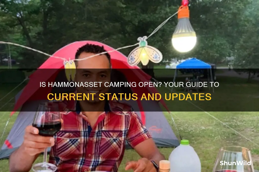 is hammonasset camping open