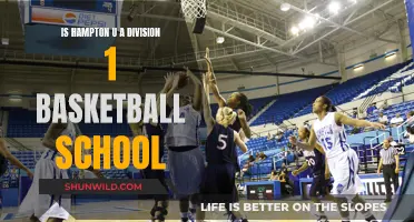 Hampton U's Basketball Division: A Competitive Analysis