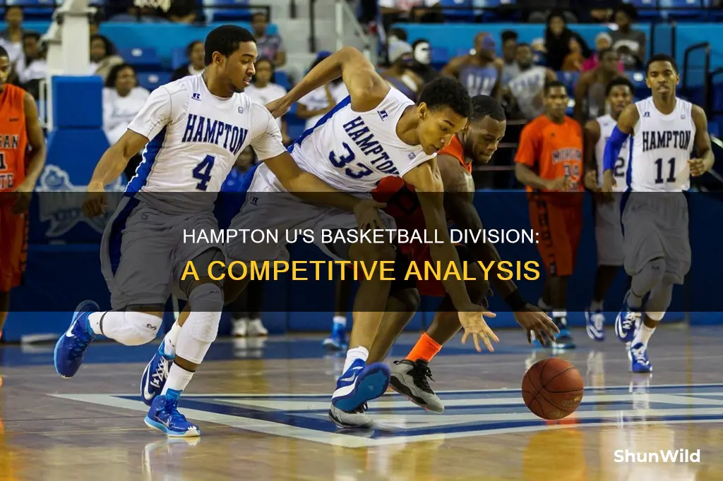 is hampton u a division 1 basketball school