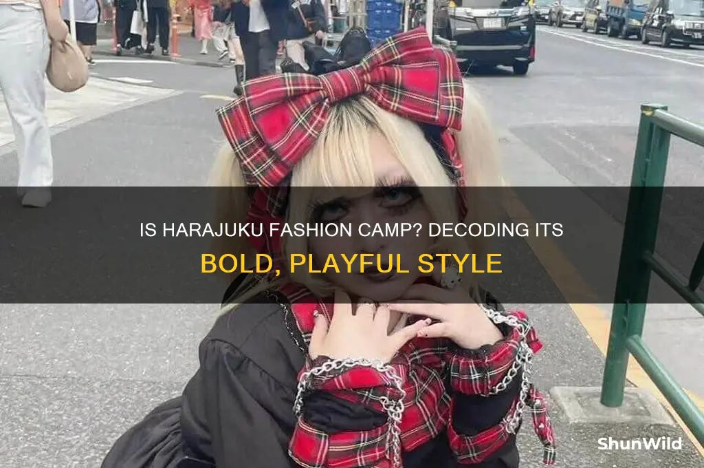 is harajuku fashion camp