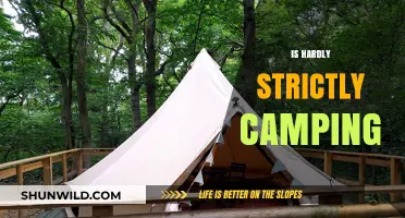 Is Hardly Strictly Camping: Unpacking the Festival Experience and Myths