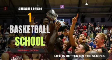 Harvard's Division 1 Basketball Status: Explained