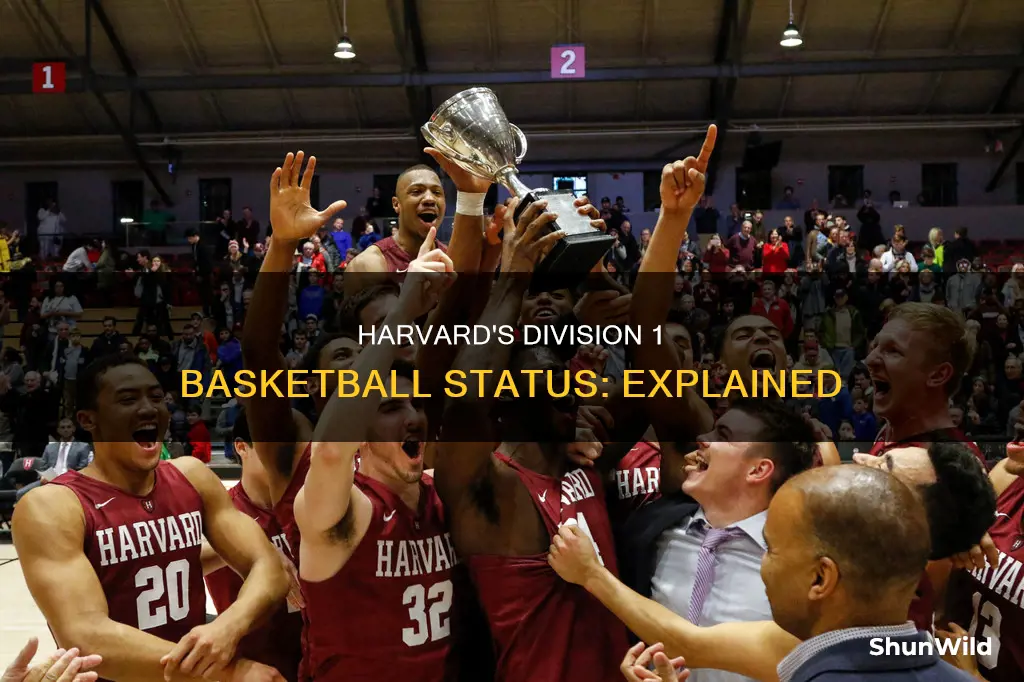 is harvard a division 1 basketball school