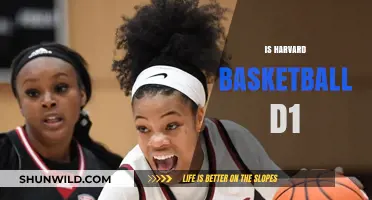 Harvard Basketball: Division I Status and Success