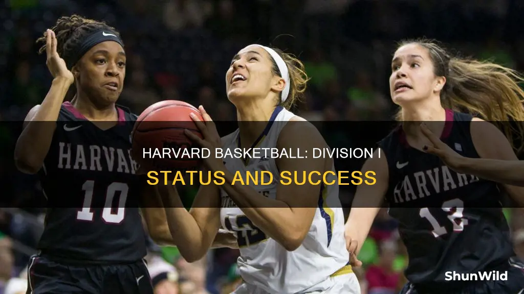 is harvard basketball d1