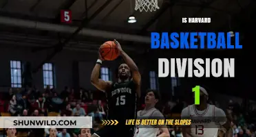 Harvard Basketball: Division 1 Status Explained