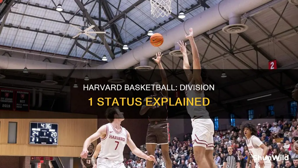 is harvard basketball division 1