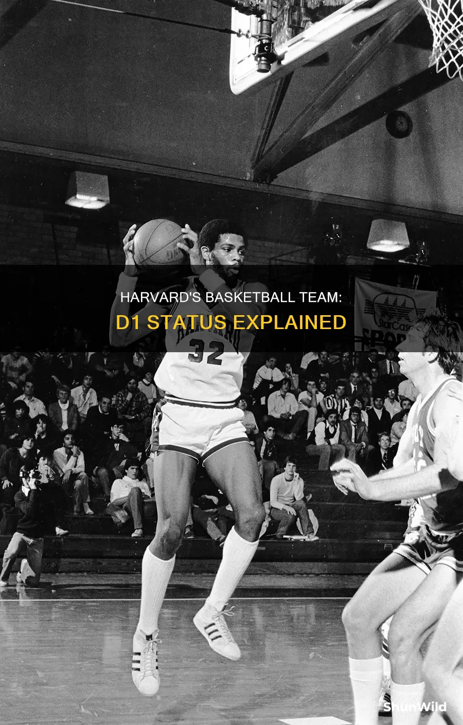 is harvard d1 basketball