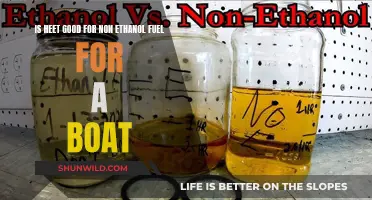 Heet Treatment for Non-Ethanol Boat Fuel: Good or Bad?