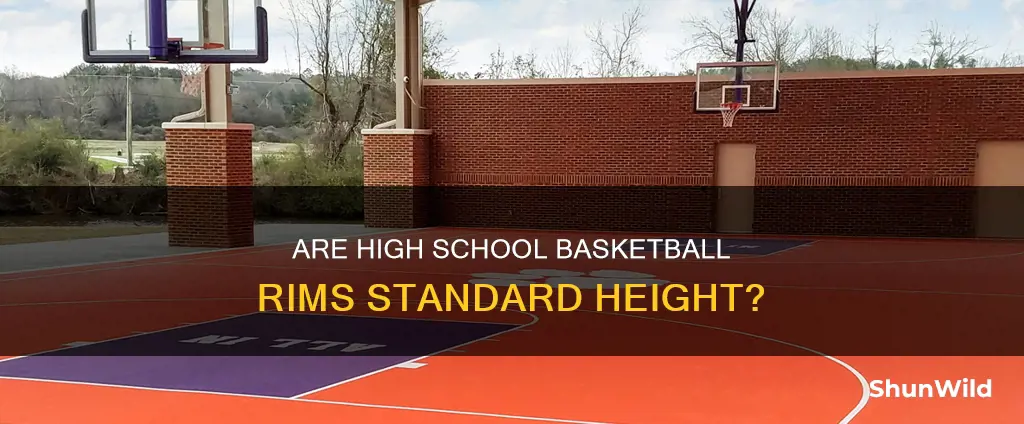 is high shcool basketball rims at what hieght