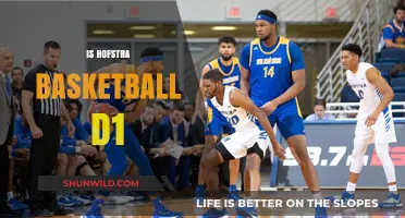Hofstra Basketball: A Division I Legacy
