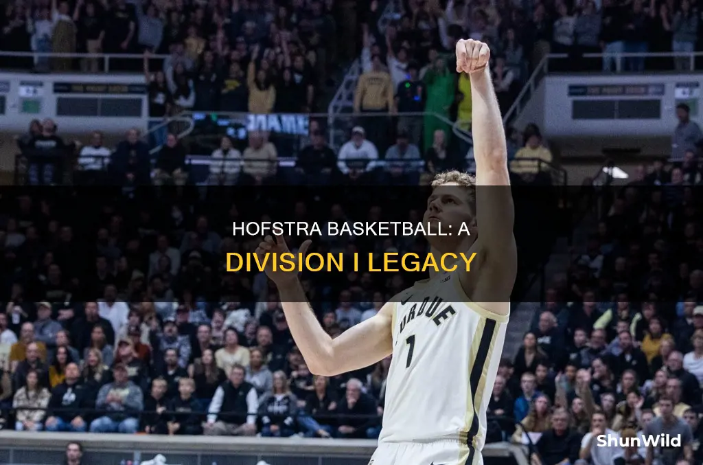 is hofstra basketball d1