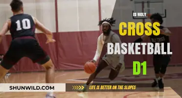 Holy Cross Basketball: D1 Status and History
