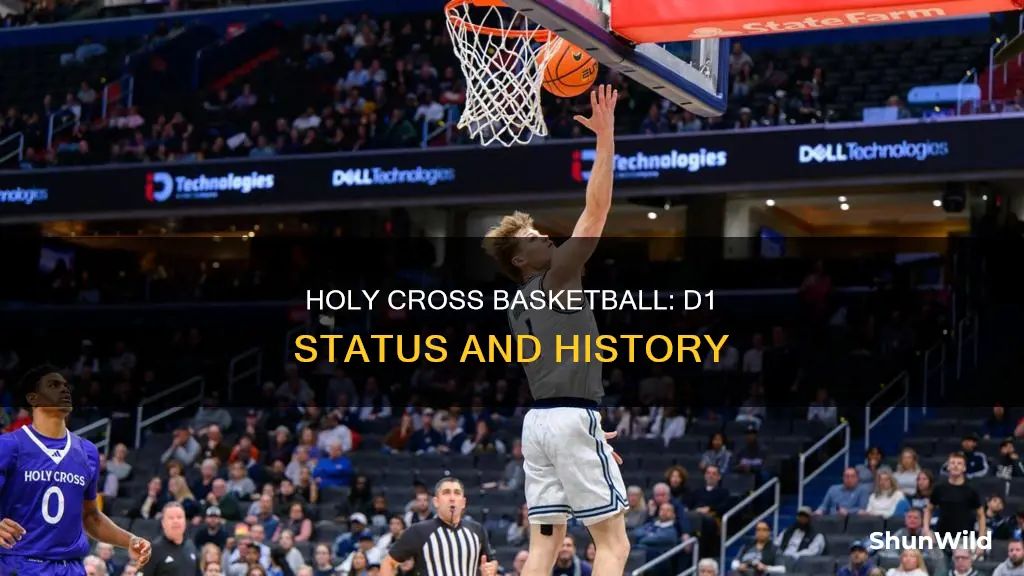is holy cross basketball d1