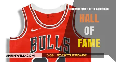 Horace Grant: Basketball Hall of Fame Inductee?