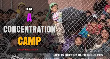 Is ICE a Concentration Camp? Analyzing Detention Centers and Human Rights