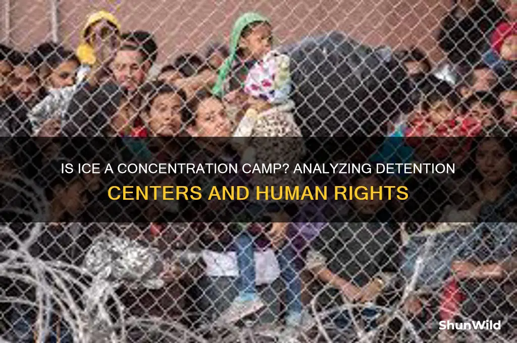 is ice a concentration camp