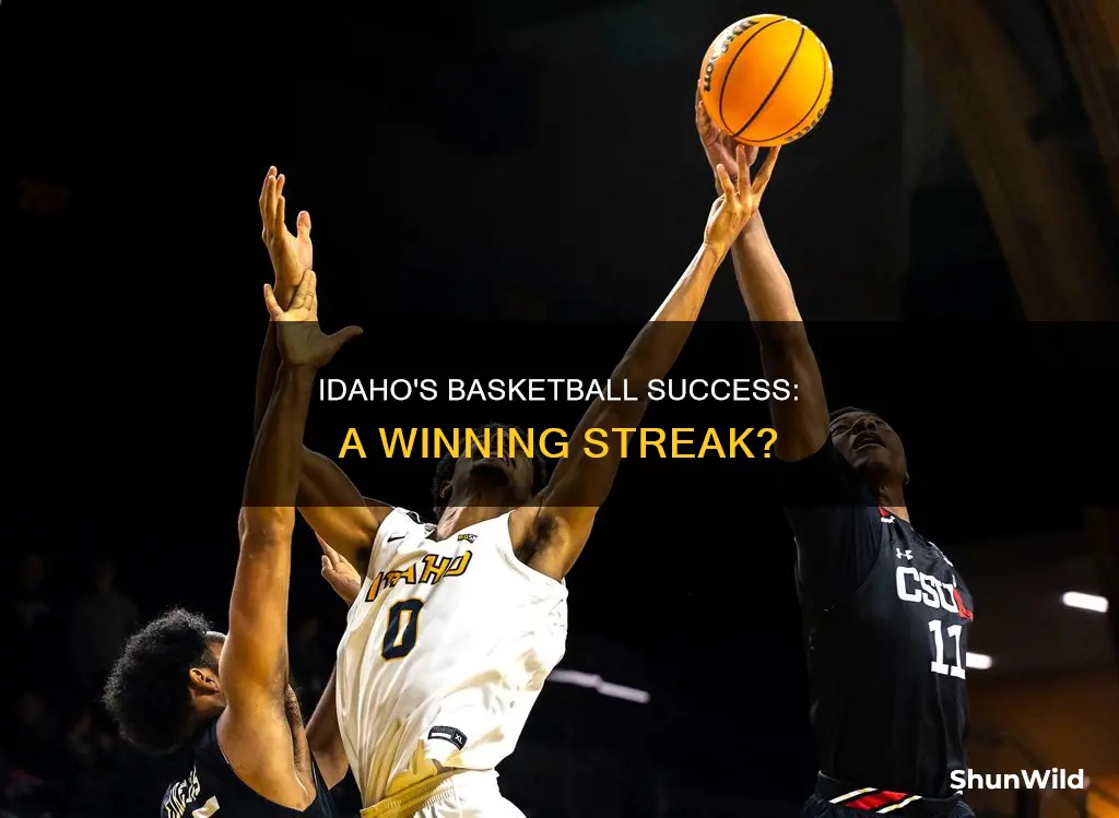 is idaho winning in basketball