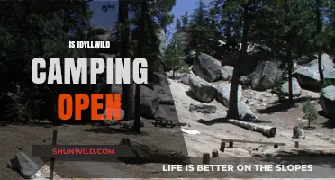 Is Idyllwild Camping Open? Current Status and Updates for Campers