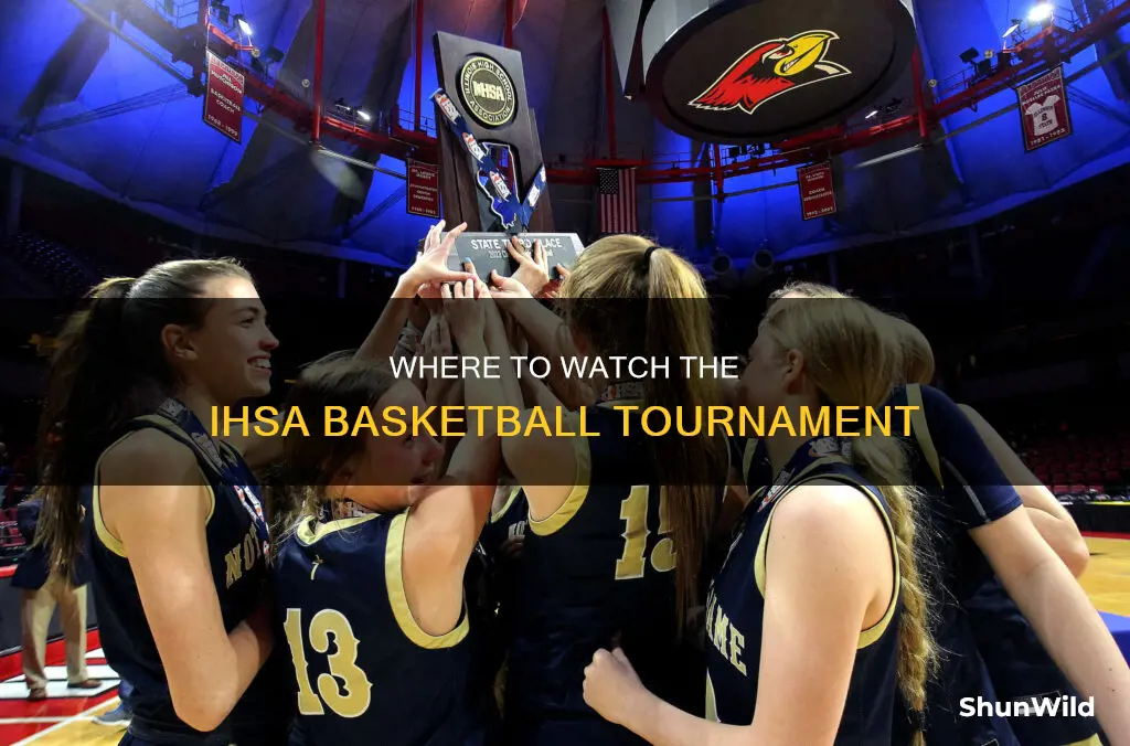 is ihsa basketball tournament on tv