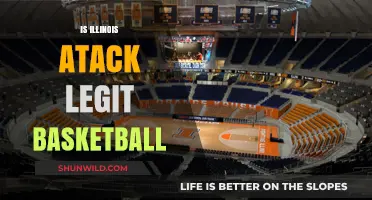 Illinois Basketball: Legit Contender or Pretender?