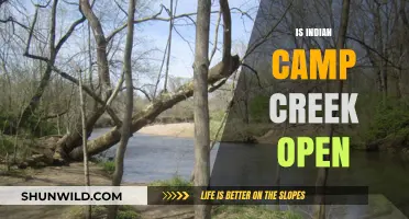 Is Indian Camp Creek Open? Current Status and Visitor Updates