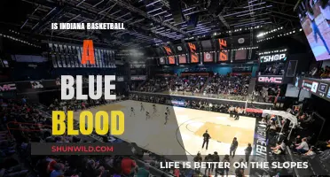 Hoosiers: Blue Blood Status in College Basketball?