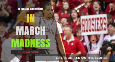 Indiana Basketball: March Madness Contender?