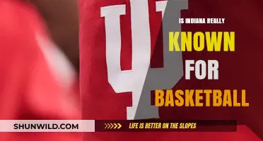 Hoosier Hysteria: Indiana's Basketball Obsession Explored