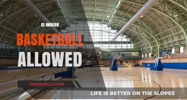 The Evolution of Basketball: Indoor Revolution