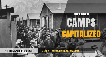 Capitalization Rules for Internment Camps: A Grammar Guide